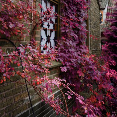 Eski ortaçağ perili evi. Gizem, korku, alacakaranlık ve terör kavramı.