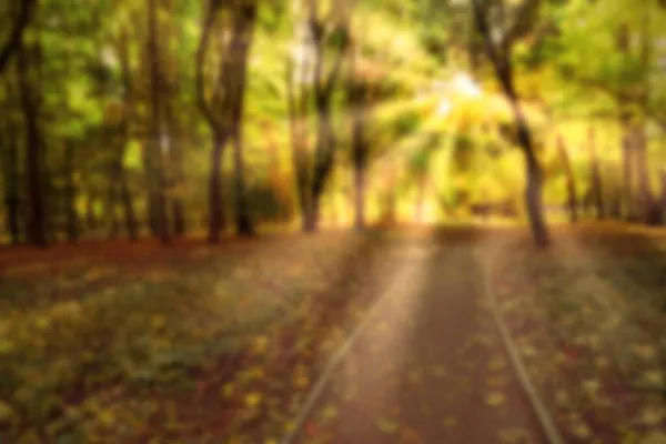カラフルな秋の背景をぼやけている 太陽の光で自然の黄色の木の背景を強調 — ストック写真