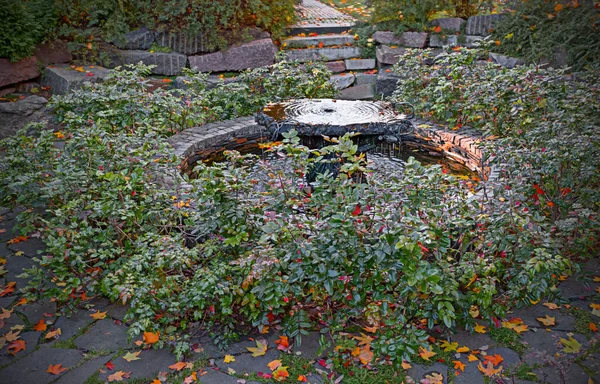秋天花园的古泉 秋季景观设计 — 图库照片