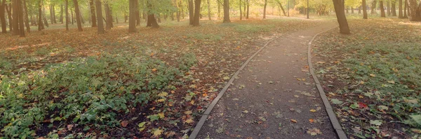 公園内には秋の紅葉に覆われた道があります 太陽の光線は葉を通って彼らの方法を作る 秋の自然風景 — ストック写真