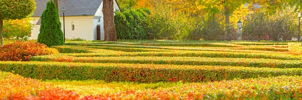 Крошечный Белый Дом Ландшафтный Дизайн Осеннем Парке Желтая Красная Топиарная — стоковое фото