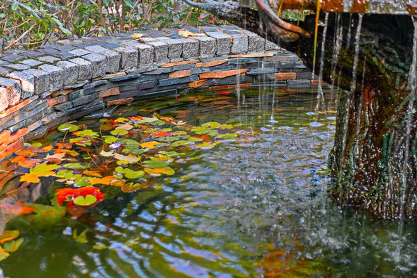 Fontaine Vintage Dans Jardin Automne Conception Paysage Automne — Photo