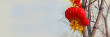 Mavi gökyüzüne karşı ağaç dalları üzerinde kırmızı kağıt fenerler. Zenginliğin ve refahın sembolü. Asya 'da yeni yılı kutlama geleneği. Renkli resim.