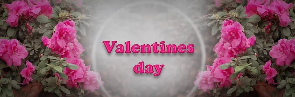 Pink Text Valentine Day Background Lush Bouquets Pink Azaleas Valentine — Stock Photo, Image