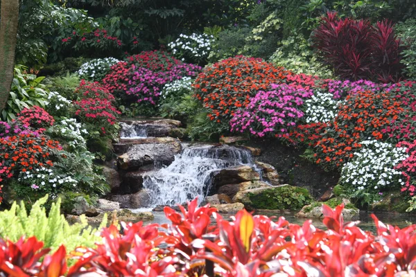 Flowers and Waterfall — Stock Photo, Image