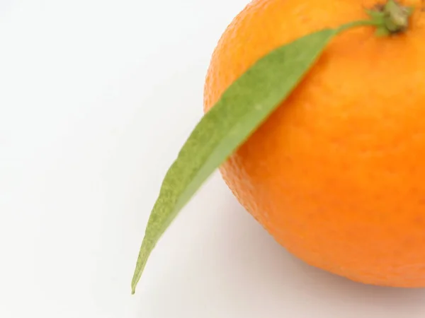 Yakından yeşil yapraklı mandalina. Citrus meyvesi. İzole et.