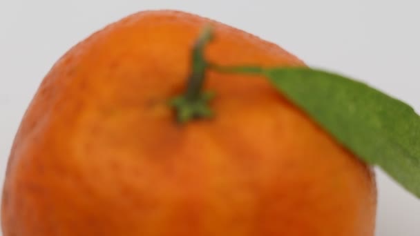 Rotation Tangerine Close — 비디오