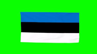 Rüzgarda savrulan Estonya bayrağının 3 boyutlu simülasyonu. Canlandırma oluşturuluyor.