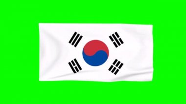 Rüzgarda savrulan Güney Kore bayrağının 3 boyutlu simülasyonu. Canlandırma oluşturuluyor.