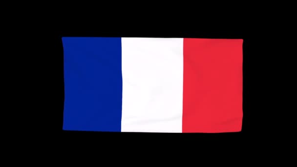 Simulación Bandera Francia Viento Representación Animación — Vídeo de stock