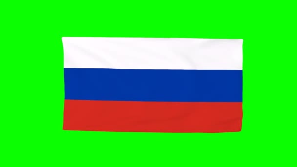 Simulação Bandeira Rússia Vento Animação Renderização — Vídeo de Stock