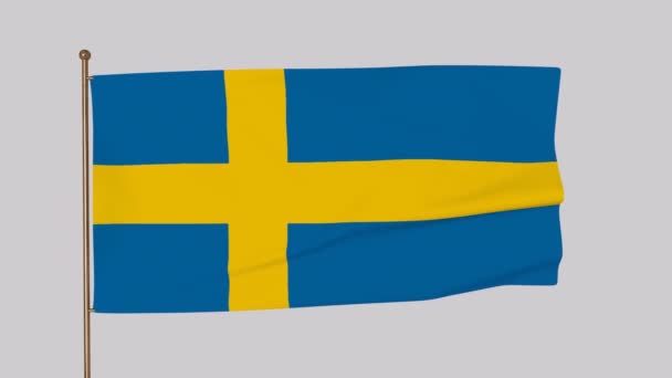 Nagranie Bandery Szwecji Renderowanie — Wideo stockowe