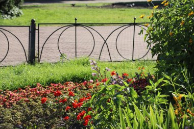 Şehir parkındaki çimenlikte çiçekler.