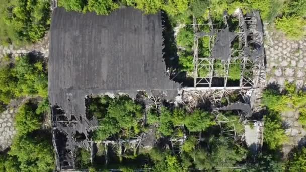 Старі Зруйновані Дерев Яні Ангари Літаків Переросли Дерево Після Другої — стокове відео