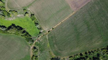 Ağaçlı bir tarlada toprak yol. Doğa ve tarım.