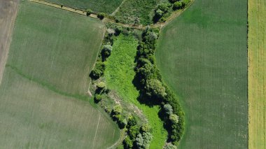 Tarlada eski bir nehir yatağı. Eski su deposu. Bir kuadkopterden doğayı vurmak.