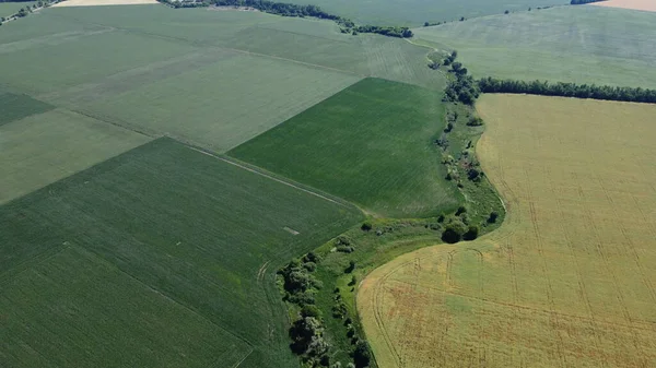 Old river bed in a field. Former reservoir. Shooting nature from a quadcopter.