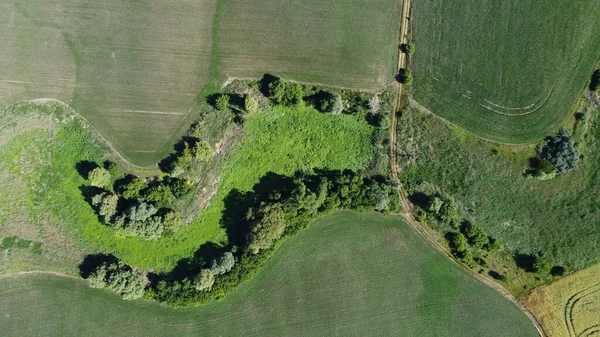 Tarlada eski bir nehir yatağı. Eski su deposu. Bir kuadkopterden doğayı vurmak.