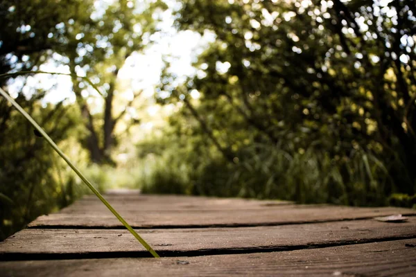 Wooden Bridge Background Plants Close — стоковое фото