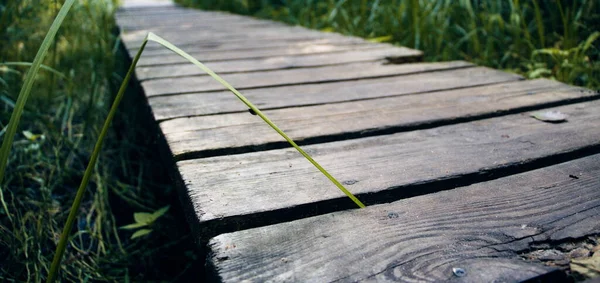 Wooden Bridge Background Plants Close — Photo