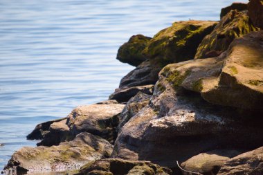 Stones on the river bank. Summer landscape. Rest at nature.