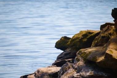 Stones on the river bank. Summer landscape. Rest at nature.