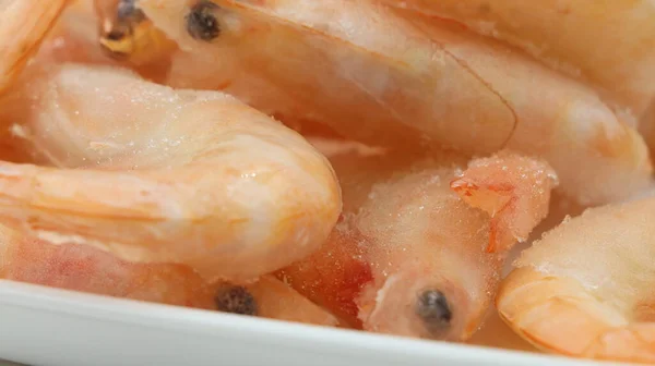 Frozen Boiled Pink Shrimps Close — 图库照片