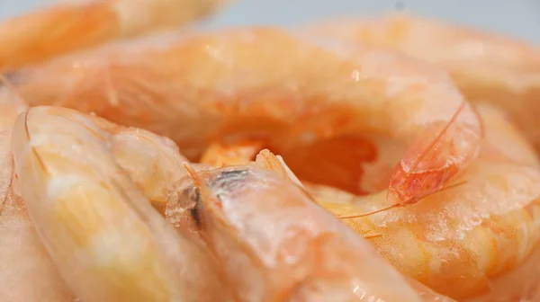 Frozen Boiled Pink Shrimps Close — Stockfoto