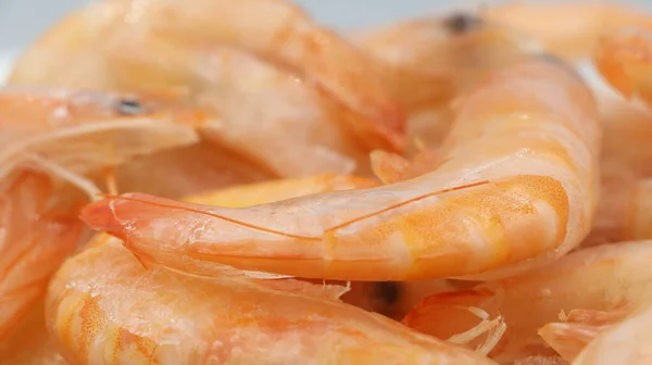 Frozen boiled pink shrimps close-up.