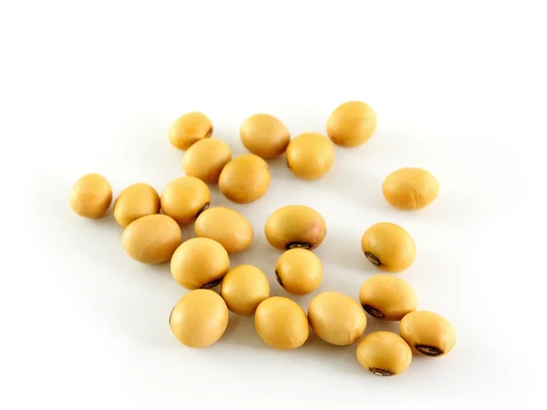 黄豆 — 图库照片