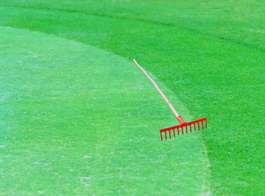 Golf alan. güzel yeşil manzara