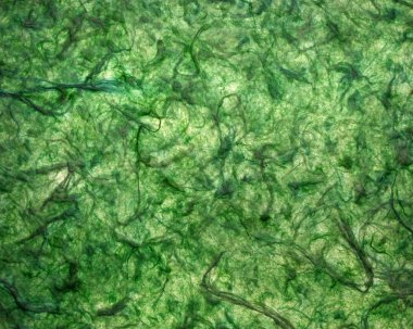 Grunge dut kağıdı