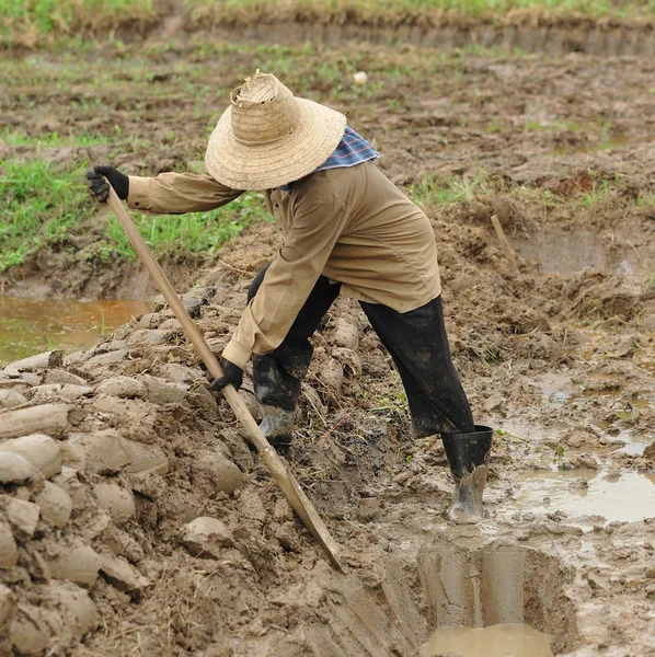 Kobieta kopanie gleby — Zdjęcie stockowe