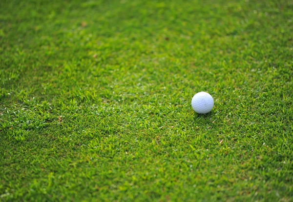 Bola de golfe em um T contra o campo de golfe com espaço de cópia — Fotografia de Stock