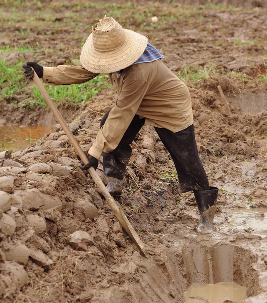 Woman Digging a soil — Stock Photo, Image