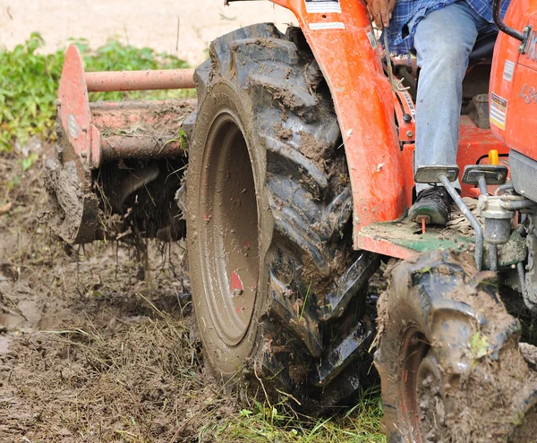 Tractor with cultivator prepares field for seeding. — Stock Photo, Image