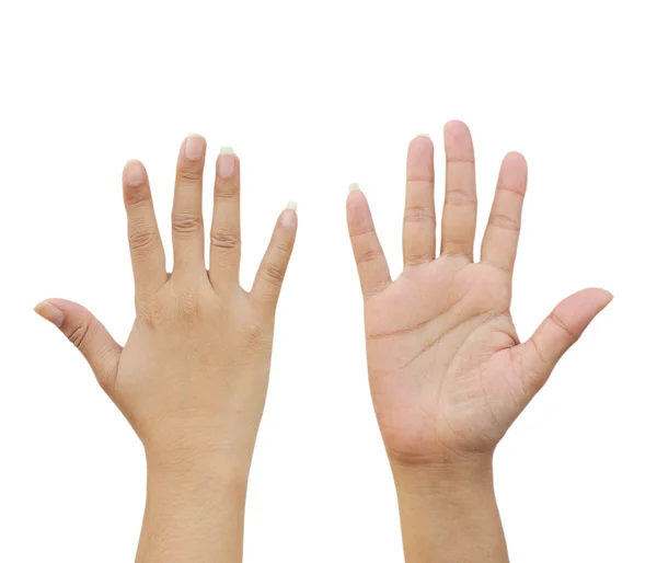 Twee lege vrouwelijke tiener handen pleiten, geïsoleerde op wit — Stockfoto