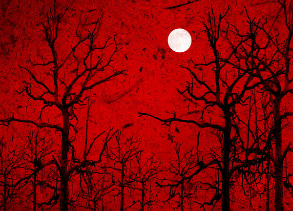 Хэллоуин. Кровавая туманная ночь на кладбище с летучими мышами и полной луной на заднем плане
.