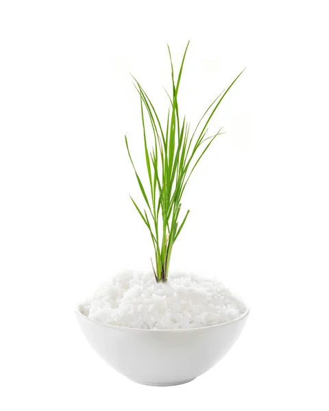 Рис в мисці на білому фоні — стокове фото