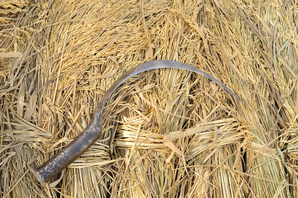 Sickle — Stock Photo, Image