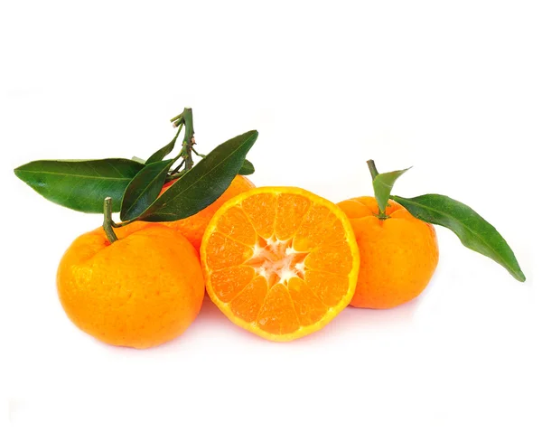 Modent oransje isolert på hvit bakgrunn – stockfoto