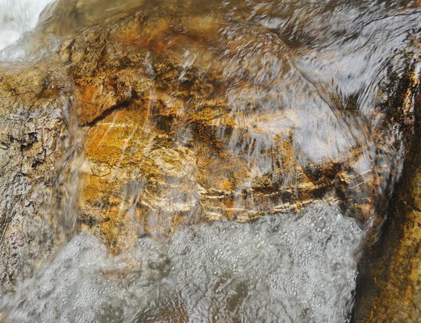 深い森の滝 — ストック写真