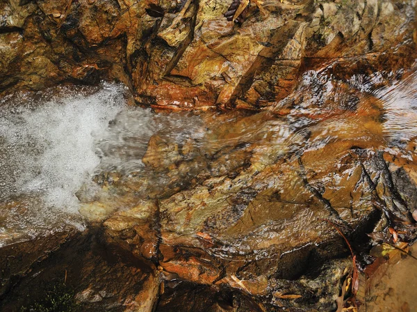 Cascada en bosque profundo —  Fotos de Stock