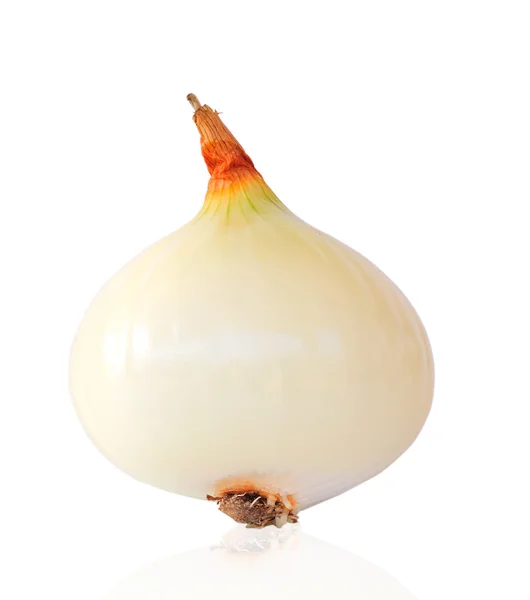 Κρεμμύδι απομονωμένο σε λευκό — Φωτογραφία Αρχείου