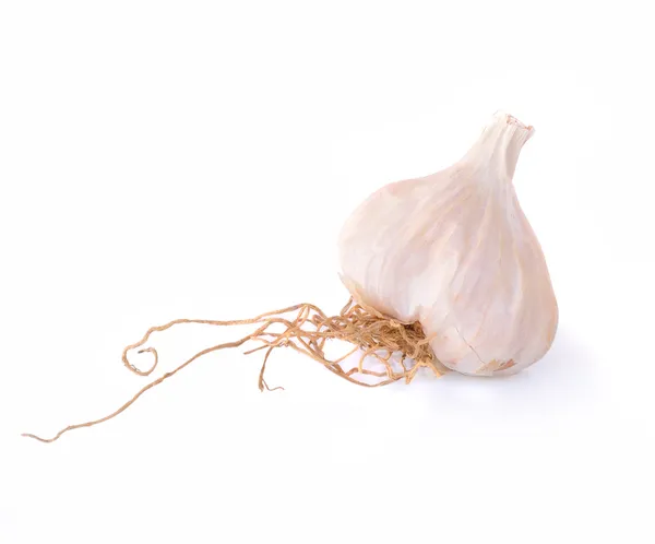 Garlic on the white background — Stock Photo, Image