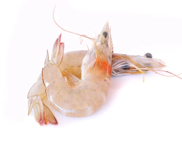 Shrimps on a white background — Stock Photo, Image