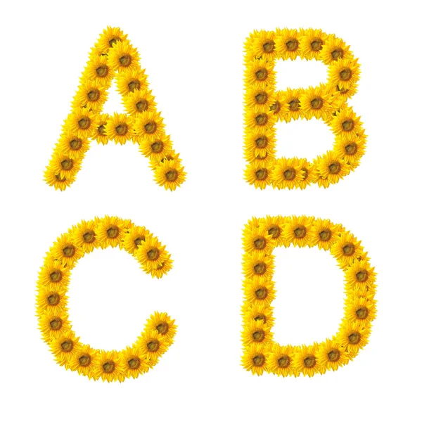 Słonecznik alfabet na białym tle — Zdjęcie stockowe
