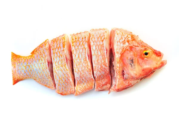 Fish slices on the white background — Stock Photo, Image