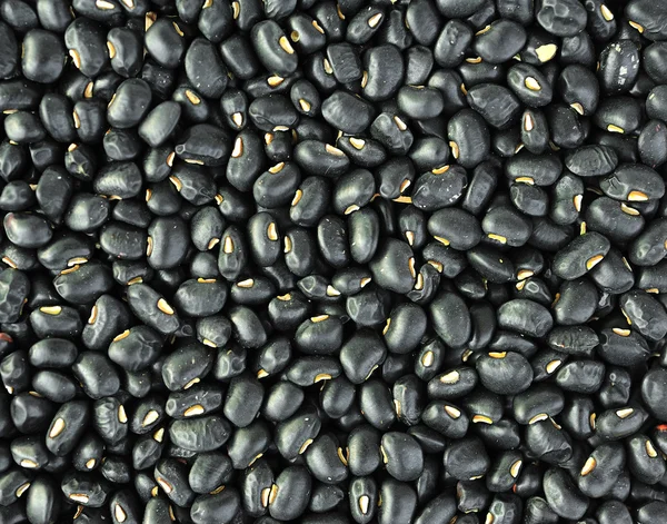 Black beans isolated on white background — Stock Photo, Image
