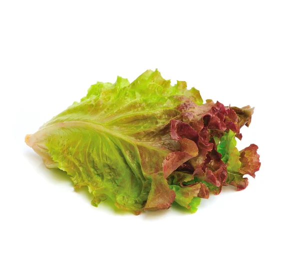 Fresh green lettuce leaves isolated on white — Stock Photo, Image
